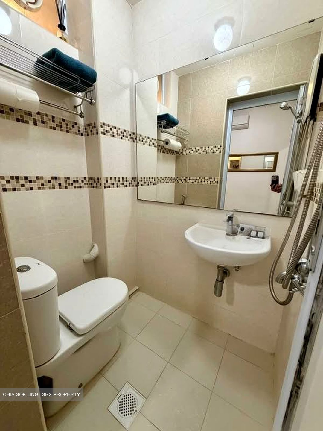 Balestier Plaza (D12), Apartment #591772011